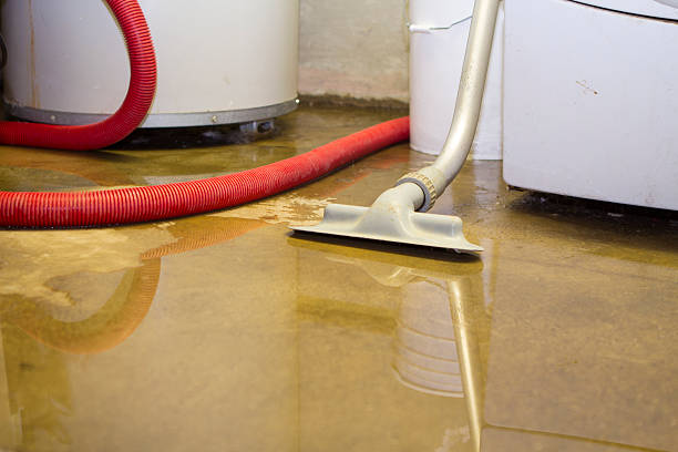 Fire Damage Restoration in Palo Cedro, CA