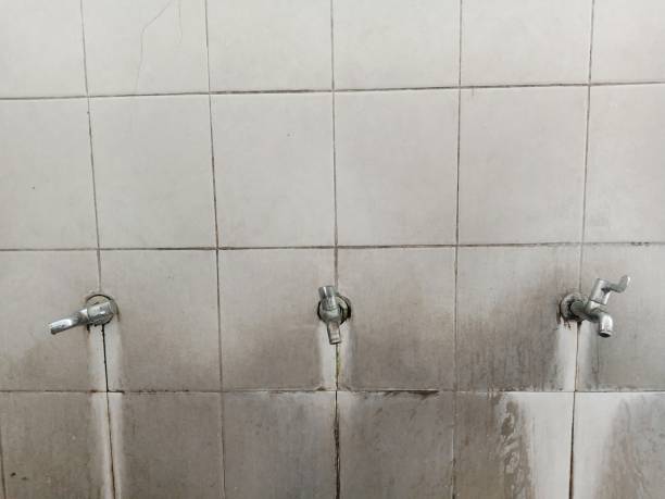 Best Residential water damage restoration  in Palo Cedro, CA