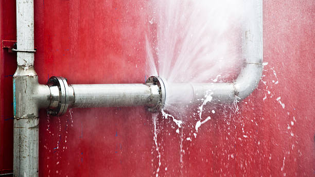 Best Local water damage restoration  in Palo Cedro, CA